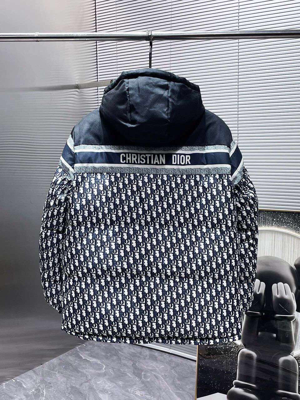 Veste Dior Oblique Hooded Jacket