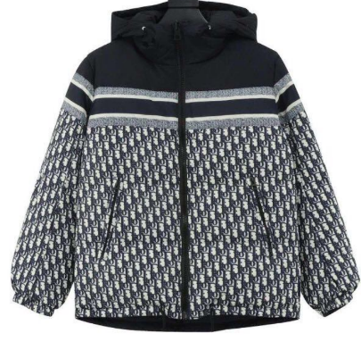 Veste Dior Oblique Hooded Jacket