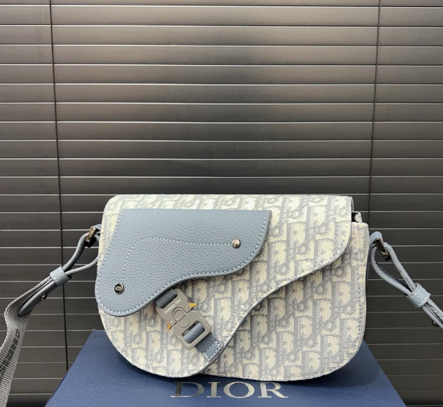 Sac Dior Saddle