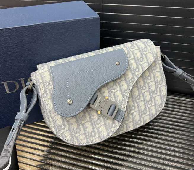 Sac Dior Saddle