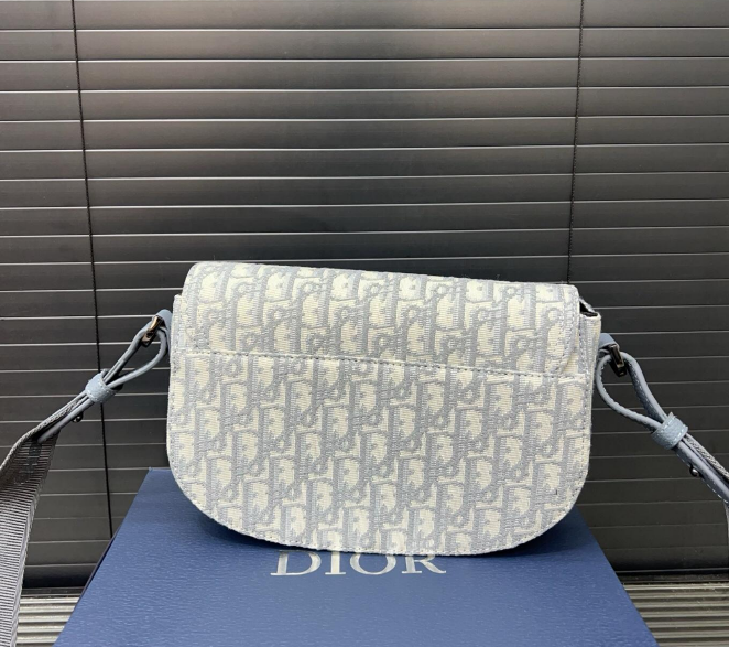 Sac Dior Saddle