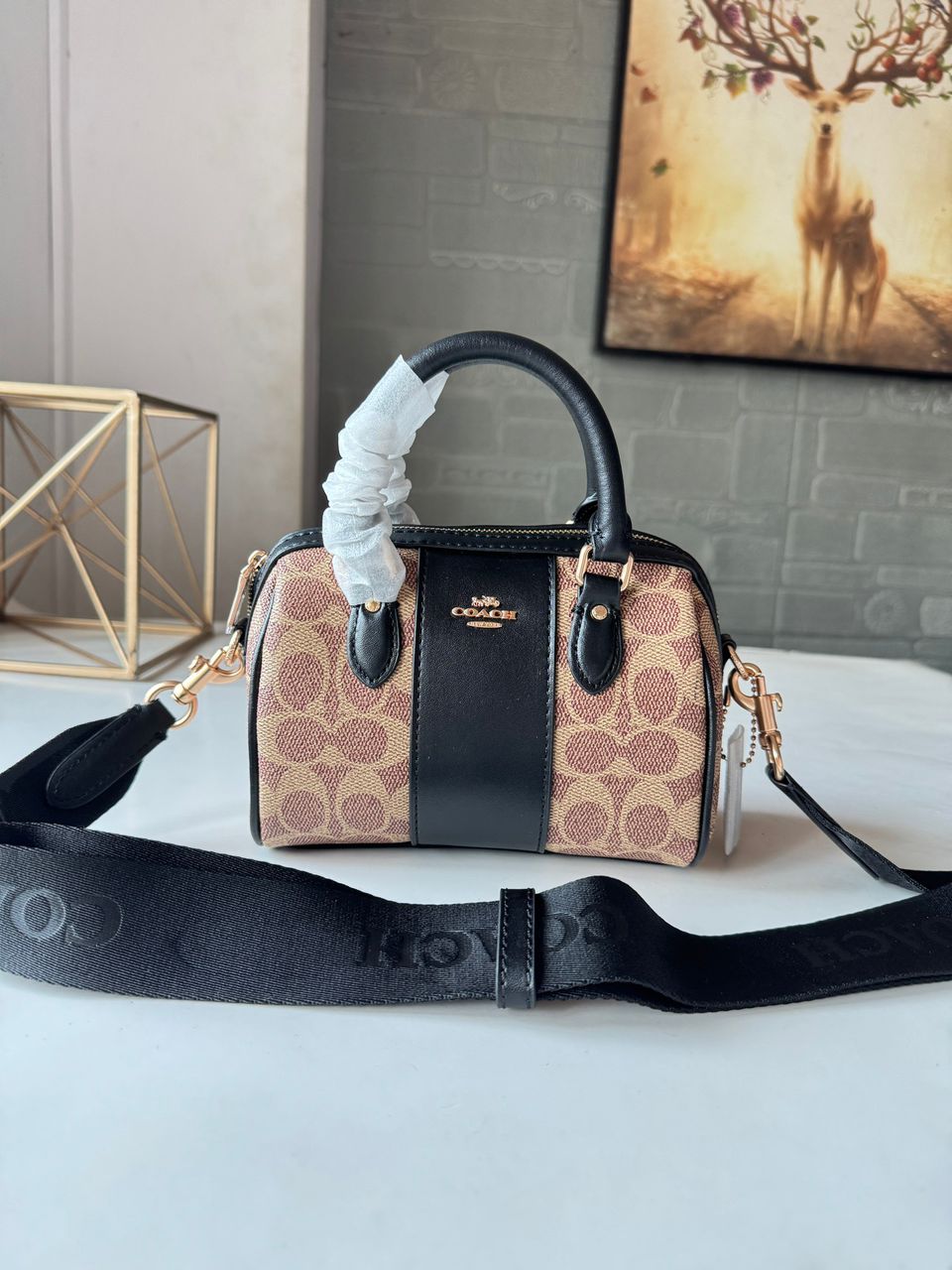 Coach Rowan Satchel – Signature Canvas with Center Stripe